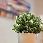 Isotta Apartment *